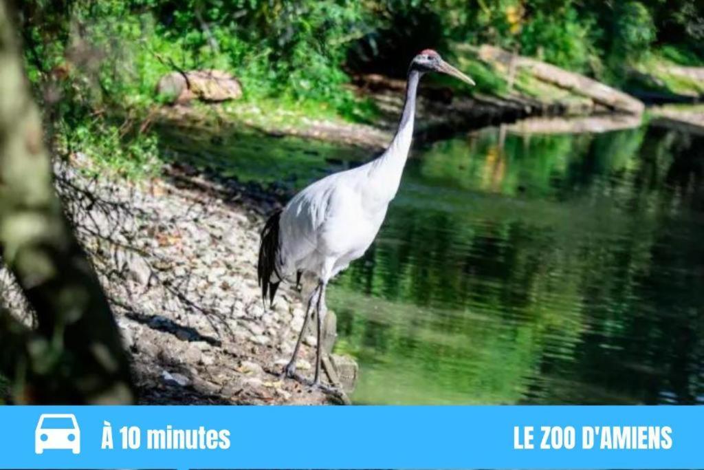 Grand T2 Gare Amiens Tout Confort 2Pers Wifi Exterior foto